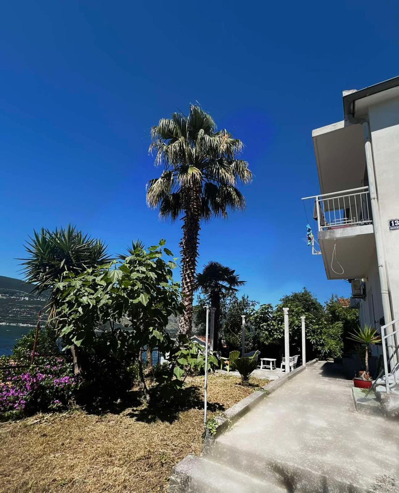 Apartments Maya Herceg Novi Bagian luar foto