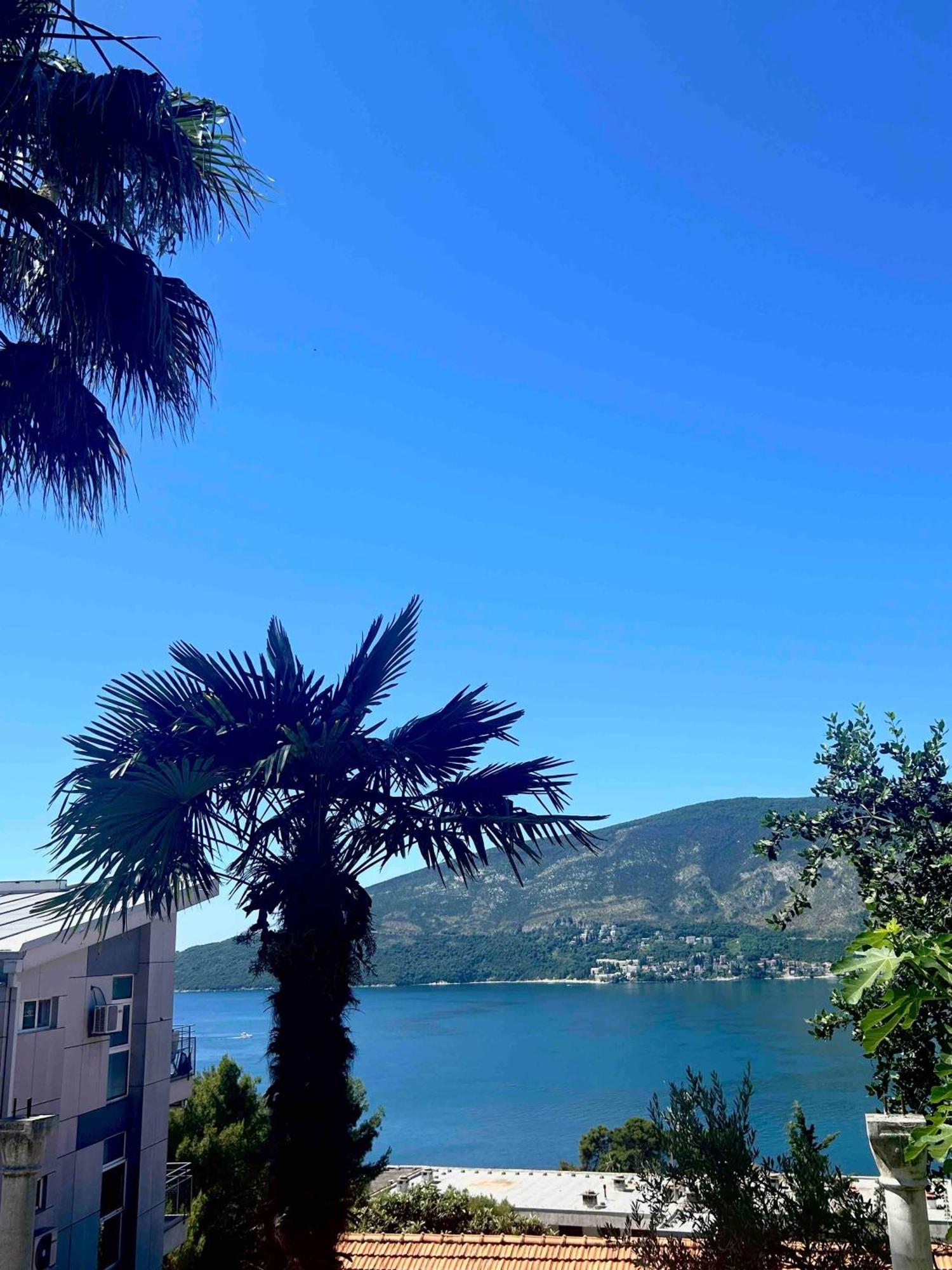 Apartments Maya Herceg Novi Bagian luar foto