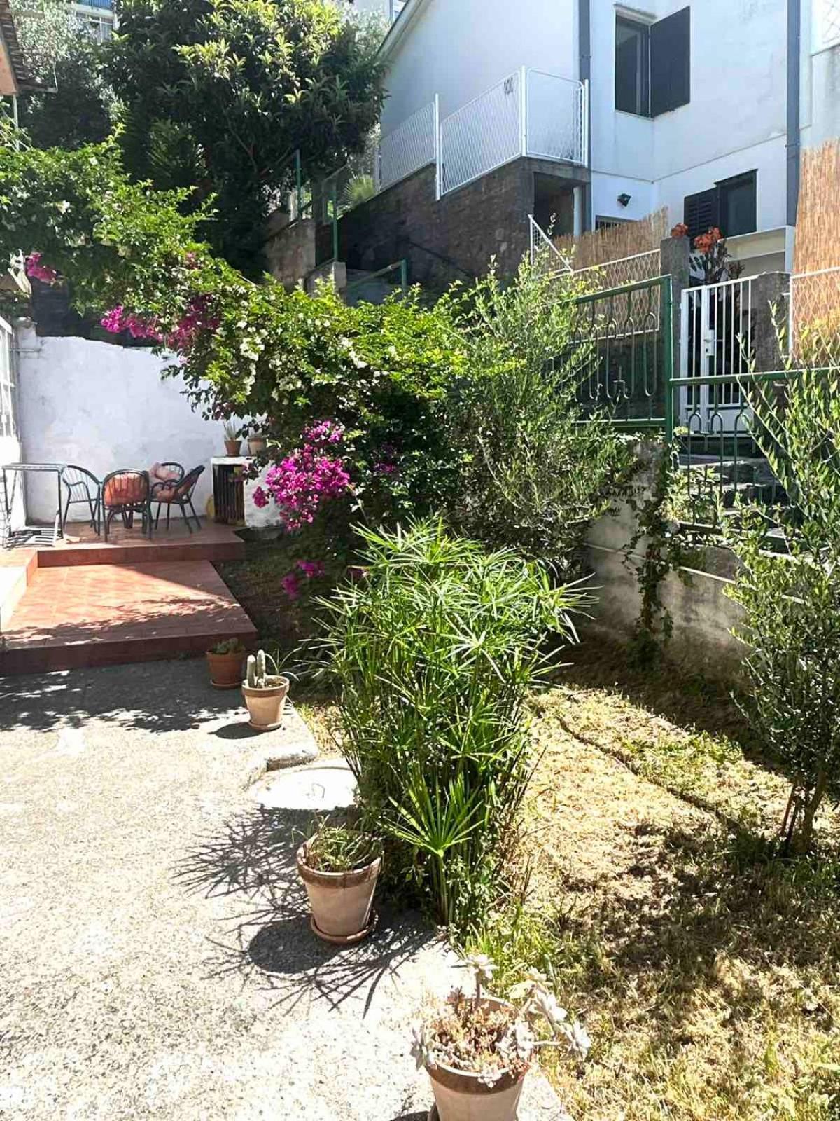 Apartments Maya Herceg Novi Bagian luar foto