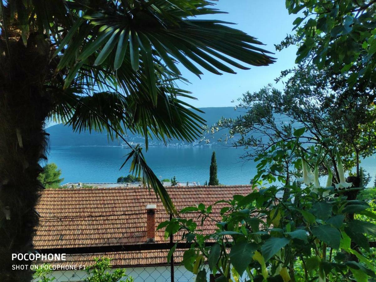 Apartments Maya Herceg Novi Bagian luar foto